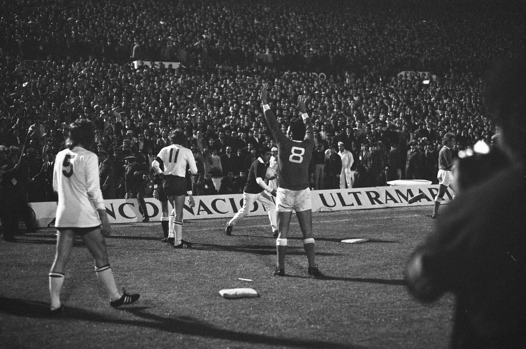 Toni benfica